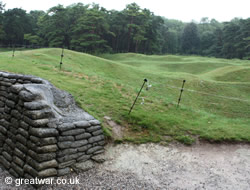 Cratered ground at the Vimy Memorial Park.