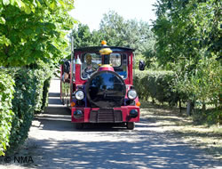 Land train at the National Memorial Arboretum.