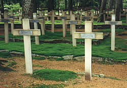 French 1914-1918 military graves in the Vosges mountains, Alsace, France.