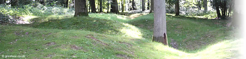 Cratered ground at Delville Wood near Longueval.