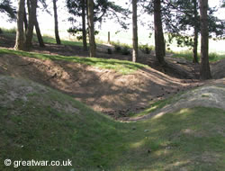 Cratered ground in Sheffield Memorial Park on the Somme battlefield.