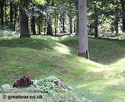 Cratered ground at Delville Wood.