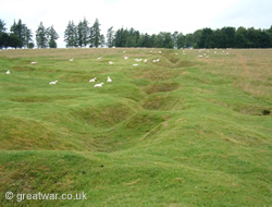 Newfoundland Memorial Park, Beaumont Hamel