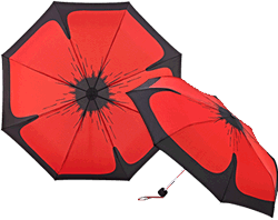 The Poppy Umbrella