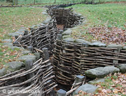 German trenches at Bayernwald.