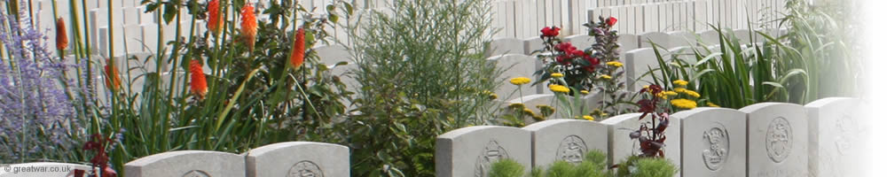 Summer flowers growing around some of the graves for the 10,755 in Lijssenthoek Military Cemetery near Poperinge.